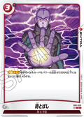 FB01-033 Time-Skip [Common]