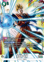 Son Gohan: Future [SR] pair