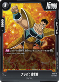 FS05-09 Nappa : Adolescence [Common]
